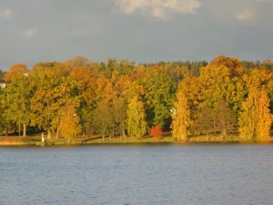 Autumn on the other side
