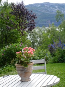 Ocean and flowers by Lo Snöfall