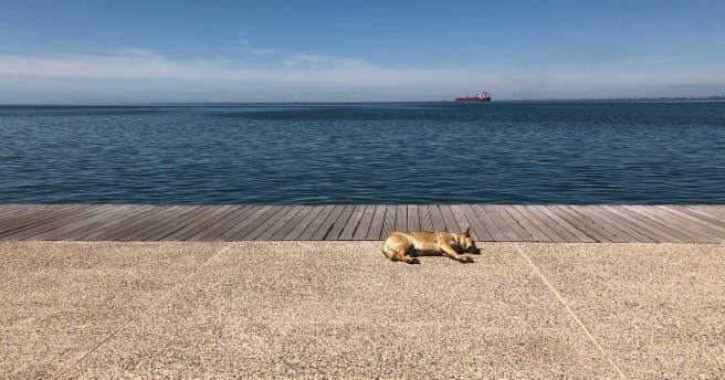 Morsis Thessaloniki 2018