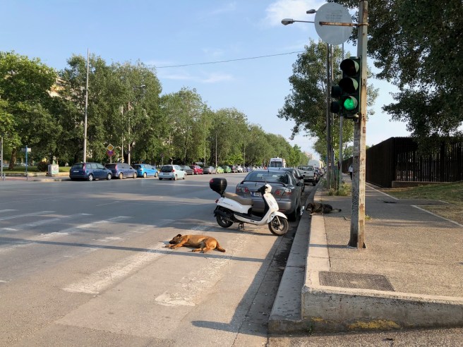 Sleeping in Thessaloniki