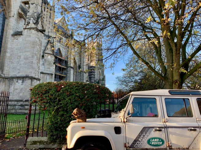 Sunbathing in York.jpeg